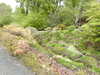 20210523120902-DSCN8207.JPG
