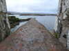 20210523123348-DSCN8248.JPG