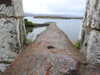 20210523123355-DSCN8249.JPG