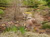 20210523124203-DSCN8259.JPG