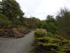 20210523124248-DSCN8263.JPG