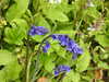 20210523124304-DSCN8264.JPG