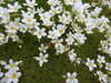 20210523124336-DSCN8266.JPG