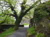 20210523124348-DSCN8267.JPG