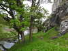 20210523124420-DSCN8270.JPG