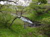 20210523124450-DSCN8271.JPG