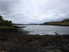 20210523124929-DSCN8278.JPG