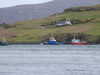20210523125534-DSCN8292.JPG