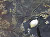 20210523125544-DSCN8293.JPG