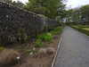 20210523130420-DSCN8304.JPG