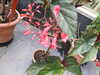 20210523131013-DSCN8318.JPG