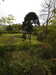 20210523131614-DSCN8331.JPG