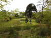 20210523131645-DSCN8334.JPG