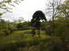 20210523131653-DSCN8335.JPG
