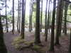20210523131856-DSCN8338.JPG