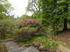 20210523132046-DSCN8342.JPG
