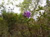 20210523132121-DSCN8343.JPG