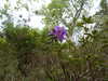 20210523132123-DSCN8344.JPG
