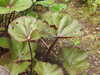 20210523132143-DSCN8346.JPG