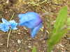 20210523132300-DSCN8352.JPG
