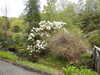 20210523132321-DSCN8355.JPG