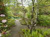20210523132404-DSCN8359.JPG