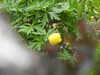20210523132533-DSCN8364.JPG