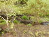 20210523132707-DSCN8372.JPG