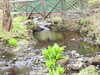 20210523132744-DSCN8375.JPG