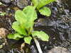 20210523132752-DSCN8376.JPG
