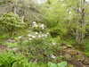20210523132822-DSCN8378.JPG