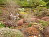 20210523133038-DSCN8383.JPG