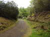 20210523133459-DSCN8385.JPG