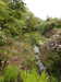 20210523133614-DSCN8387.JPG