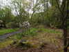 20210523133834-DSCN8393.JPG