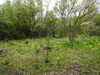 20210523133851-DSCN8394.JPG