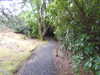 20210523133917-DSCN8395.JPG
