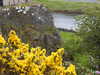 20210523134031-DSCN8400.JPG