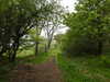 20210523134313-DSCN8403.JPG