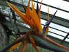 20210523141135-DSCF6010.JPG