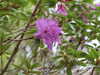 20210523142232-DSCF6018.JPG