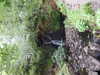 20210523142426-DSCF6024.JPG