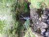 20210523142456-DSCF6027.JPG