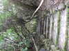 20210523144443-DSCF6049.JPG