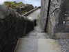 20210525095802-DSCN8433.JPG