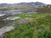 20210525100513-DSCN8459.JPG