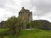 20210525100841-DSCN8469.JPG