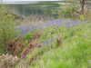 20210525101012-DSCN8473.JPG