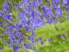 20210525101018-DSCN8474.JPG