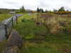 20210525121402-DSCN8505.JPG